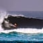 Castaway Surf Retreat