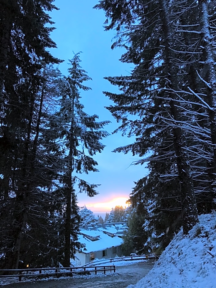 Huinid Pioneros Hotel