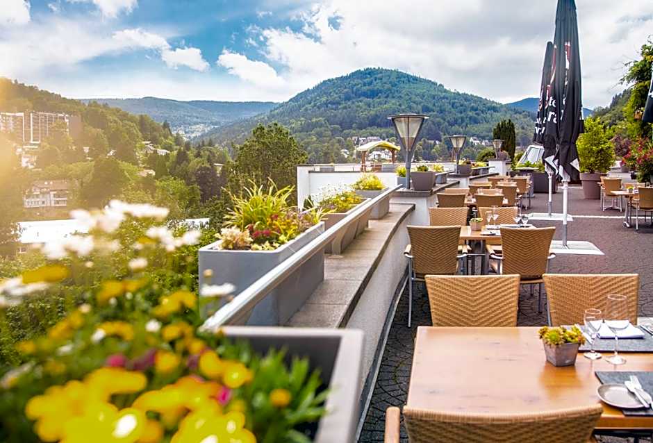 Schwarzwald Panorama