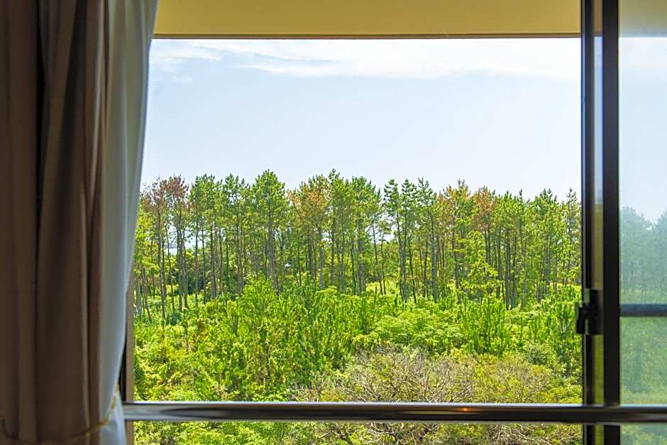 丸源旅館 無料朝食 全館wifi 準天然温泉