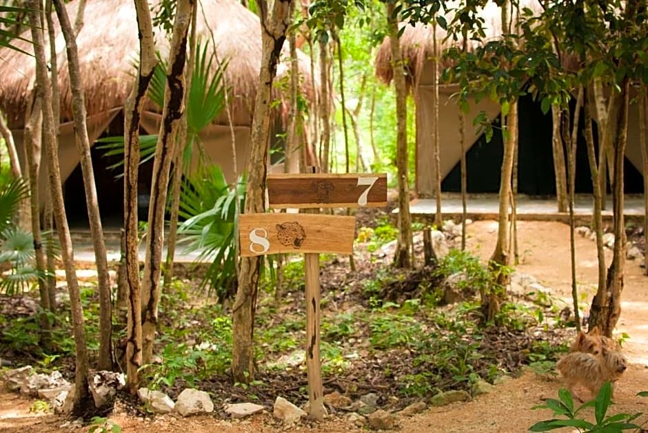 Akumal Natura Glamping