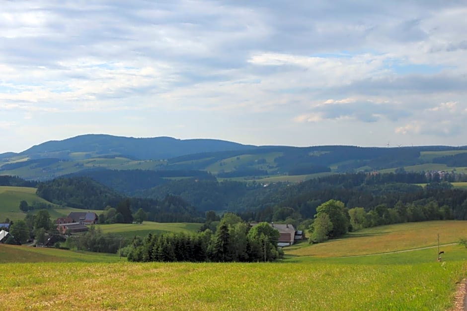 Ferienwohnungen Rebstock