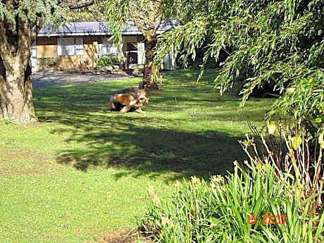 Havelock Garden Motel