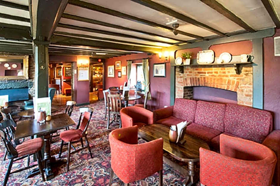 Dog House by Chef & Brewer Collection