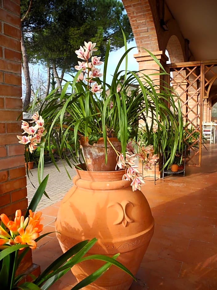 Hotel Le Renaie