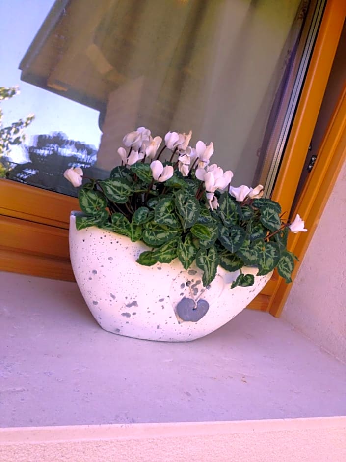 Gai De Sora Bio charming B&B