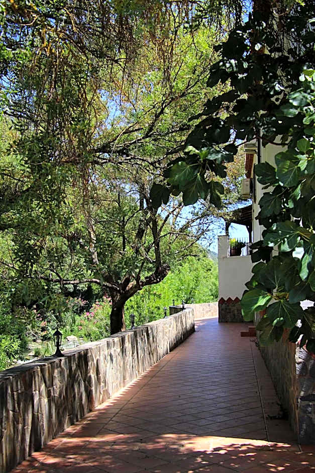 Molino Cuatro Paradas