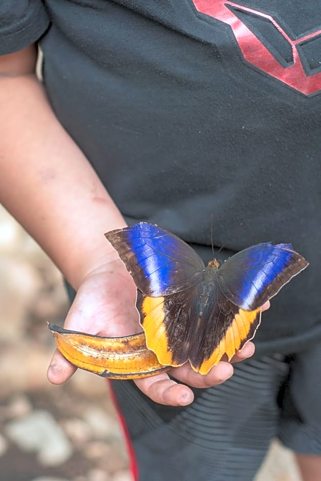 Paraiso Volcano Lodge