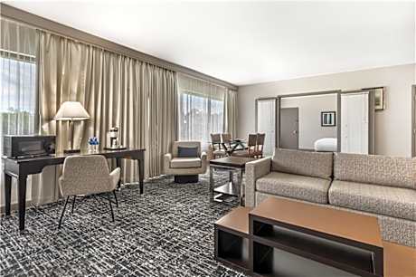 Suite King Bed Non Smoking