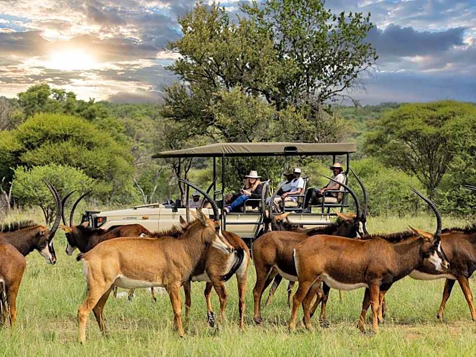 Sable Ranch Bush Lodge
