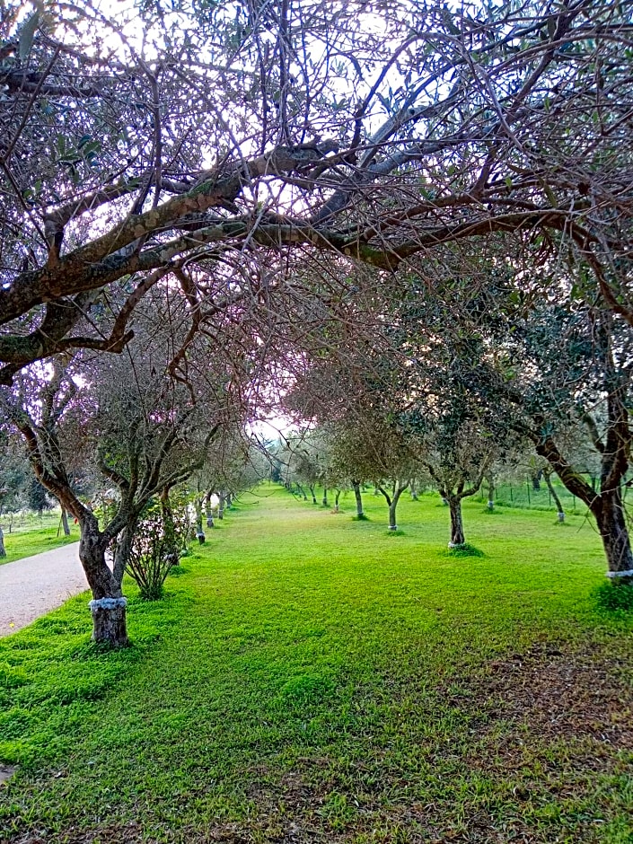 Il Poggetto Marzamemi B&B