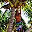 Bamboo Backpackers Hostel