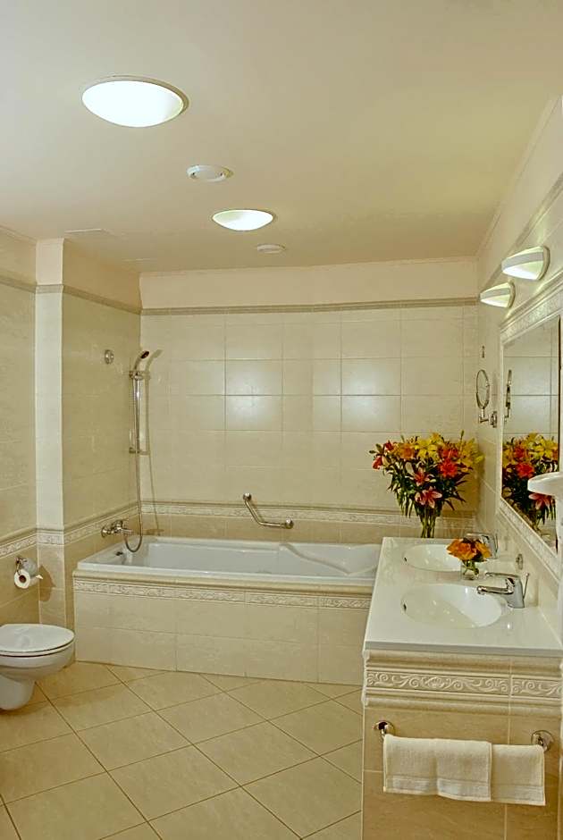 Interhotel Central