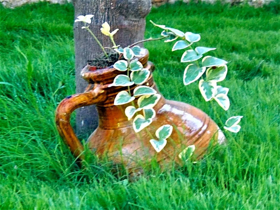 Li Perrini Boutique B&B