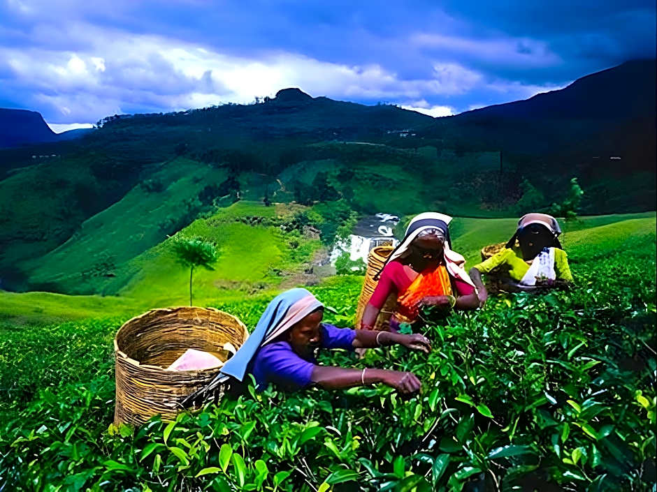 Manudi Glenfallsedge Rest B&B