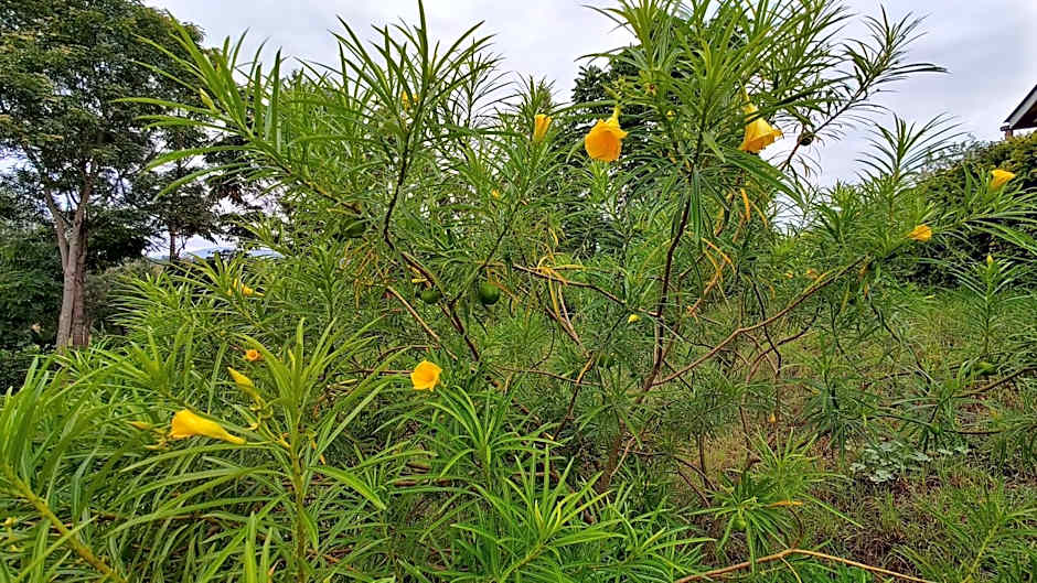 Tanzanice Farm Lodge