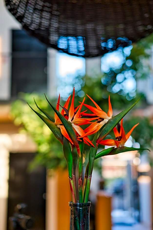 Capital Luxury Suites