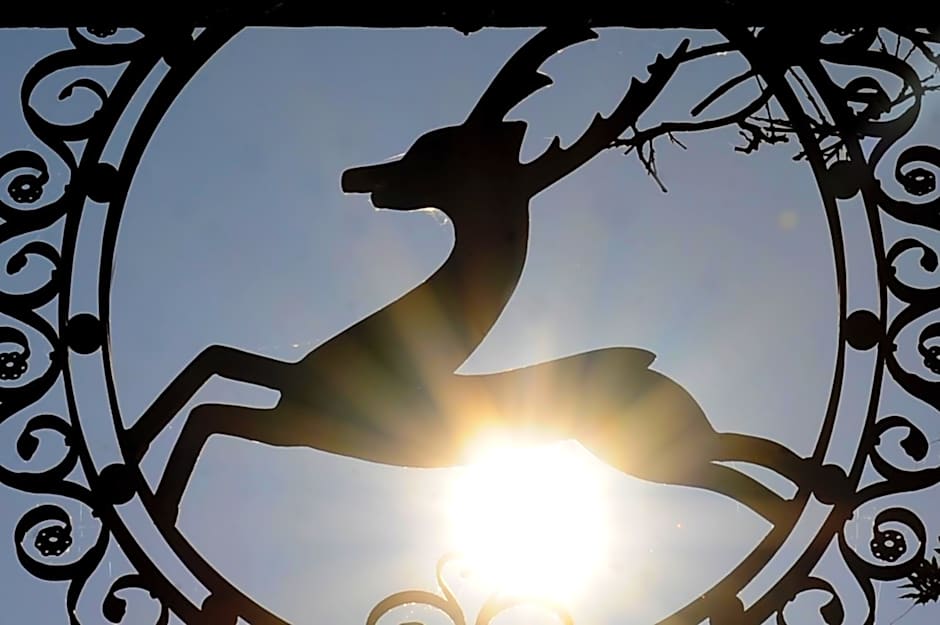 HELIOPARK Bad Hotel Zum Hirsch