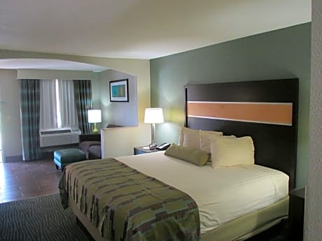 1 King Bed - Non-Smoking, 32-Inch Lcd Television, High Speed Internet Access, Microwave And Refrigerator, Full Breakfast