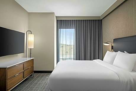 Suite, 1 King, Sofa bed