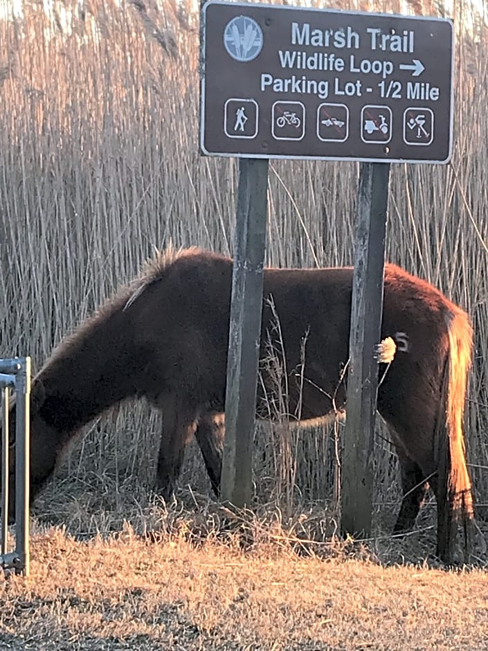 Chincoteague Inn