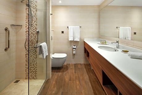 King Room with Sofa Bed