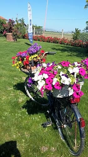 Villa Giusy B&B