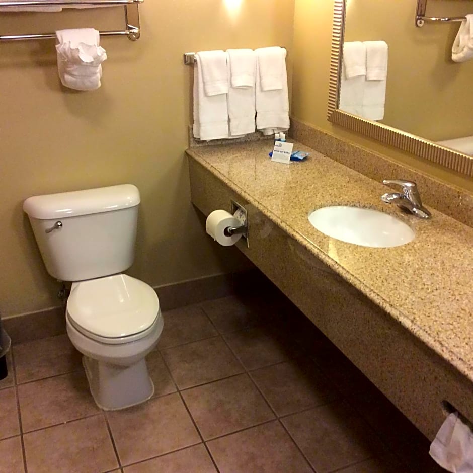 Comfort Suites Mobile-South Alabama University Area