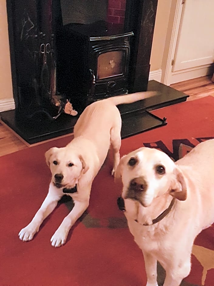 Brookvale Bed & Breakfast