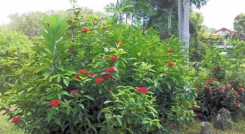 Freedom Estate Serviced Apartments