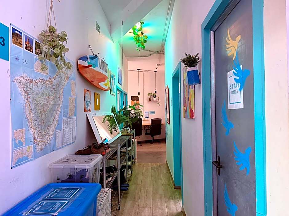 Medano Nest Hostel