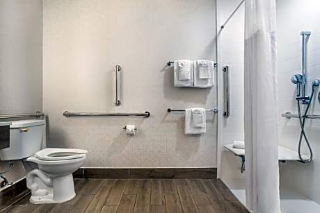 Standard King Room with Roll-in Shower - Mobility Accessible