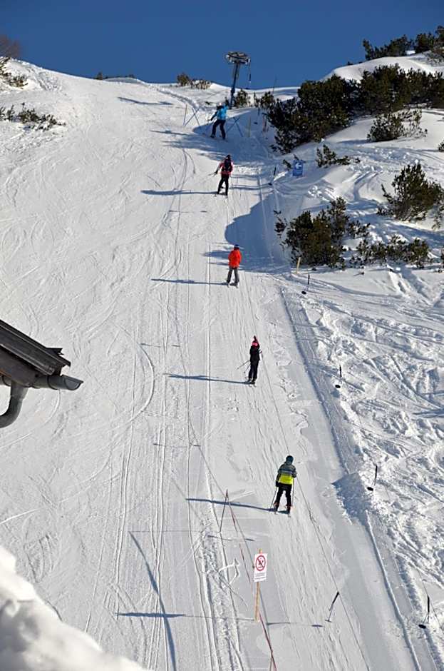 Gjaid-Alm 1739m am Dachstein-Only Accessible by Cable Car