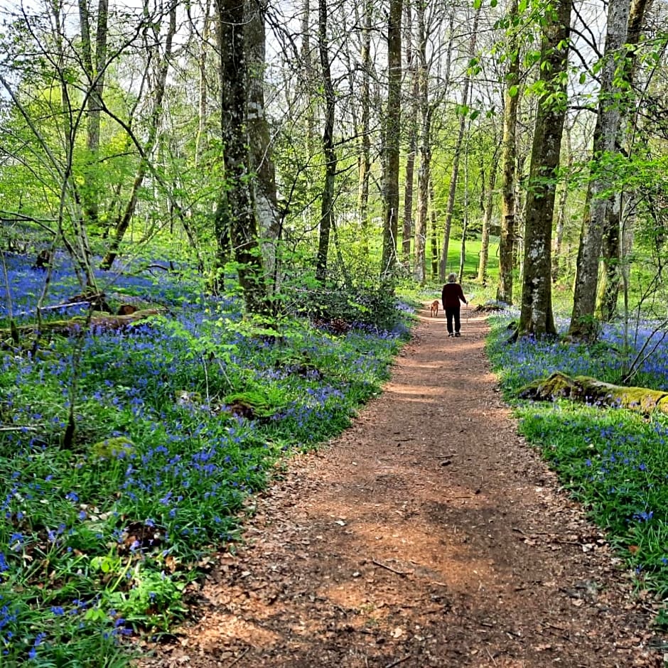 Chambre d'hôte Le Châtaignier