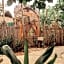 Petit Lafitte Beach Front Hotel & Bungalows