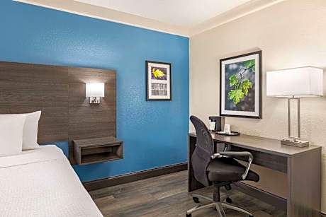 Deluxe Room with One King Bed