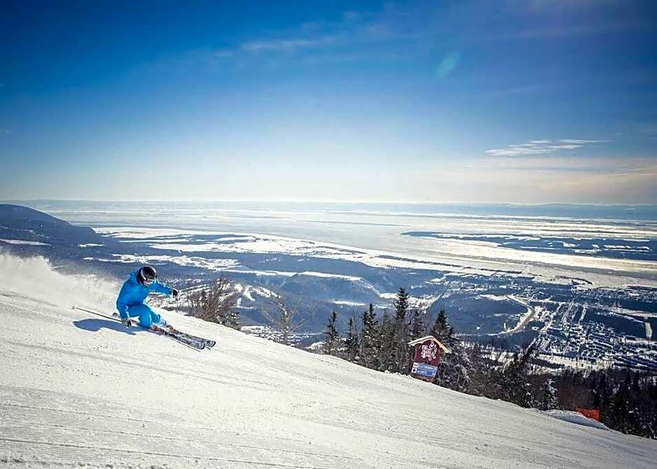 Initial- Soeur No15 - MSA