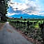 Tenuta San Michele
