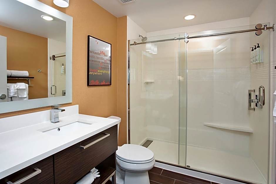 TownePlace Suites by Marriott Detroit Belleville