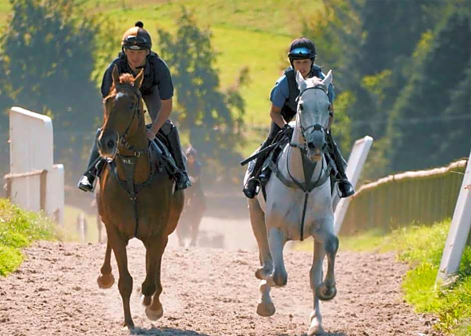 Pant Wilkin Lodges And Equestrian Centre