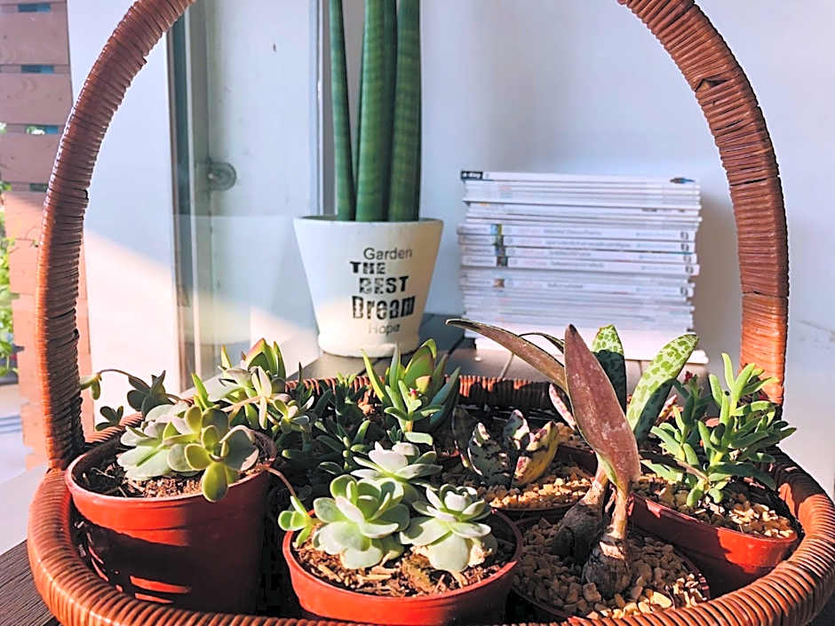 Best Bed Bangkok Suvarnabhumi Hostel