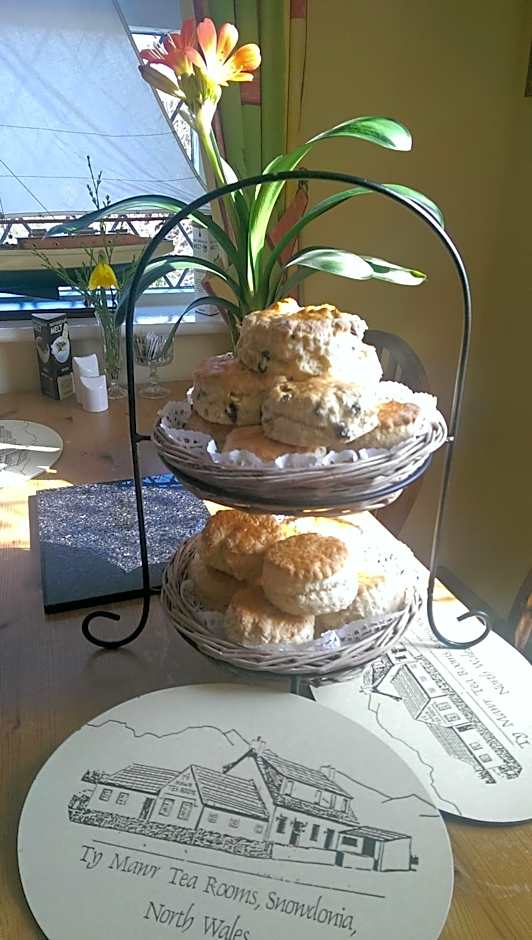 Groeslon Ty Mawr B & B