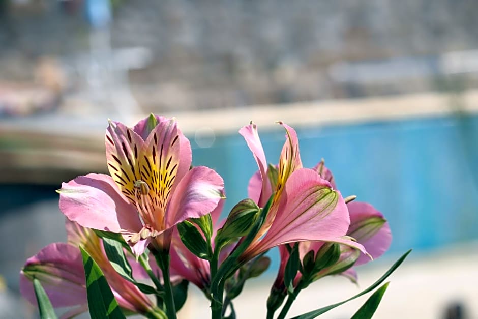 Casa da Aldeia da Avó