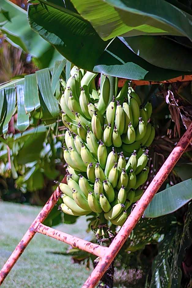 SAN GIACOMO I Apartamentos por Temporada para amigos, famílias e empresas no Porto das Dunas - Ceará