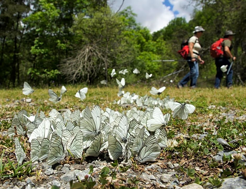Chambres d'hotes Les Clarines