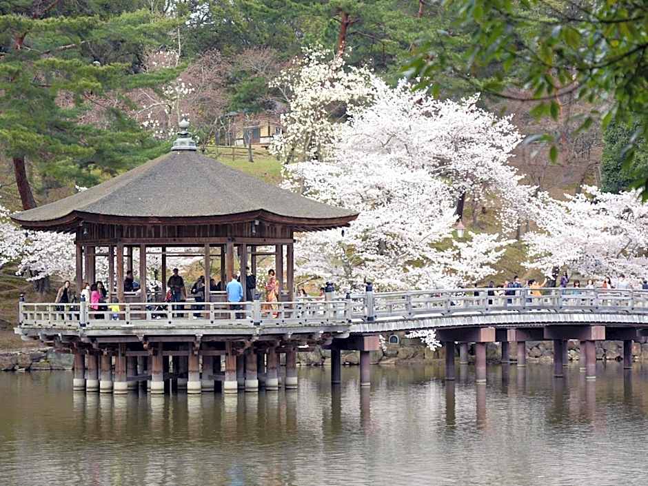 Nara - Hotel / Vacation STAY 47950