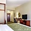 Comfort Suites Greenwood
