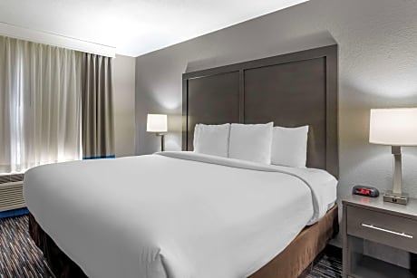 1 King Bed, Nonsmoking