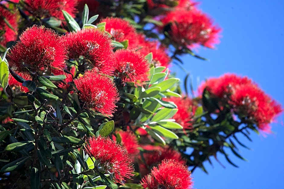 Auckland Waterfront Serviced Apartments on Prince's Wharf