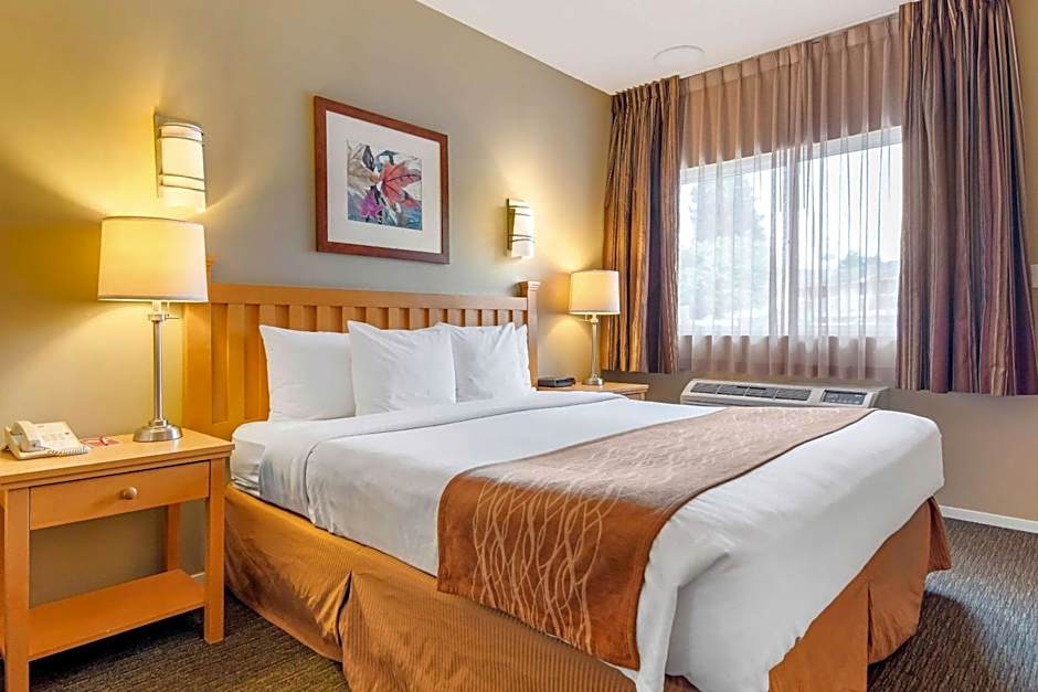 Econo Lodge Inn & Suites